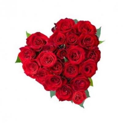 Red Roses Heart Red Roses Heart