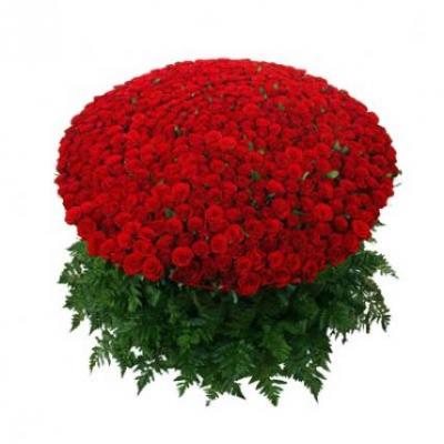 1000 Red Roses Basket 1000 Red Roses Basket