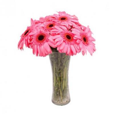 Pink Gerbera Vase Pink Gerbera Vase