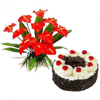 Anthurium With Black Forest Cake Anthurium With Black Forest Cake