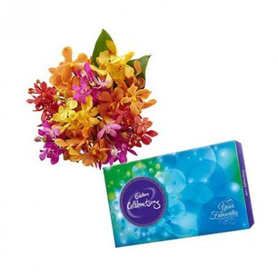 Orchids With Cadbury Celebration Orchids With Cadbury Celebration