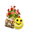 Combination Gifts Delivery India