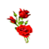 Flowers Delivery India